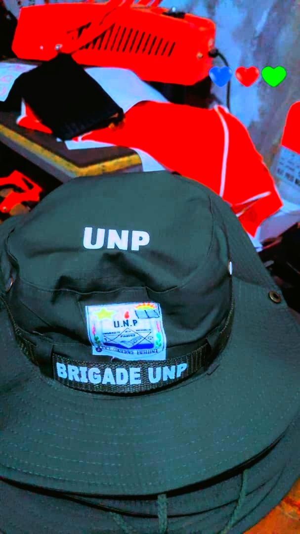 DÉFENSES DES MEMOIRES ET PROJETS TUTORÉS 2eme SESSION  2024-2025 A L'UNP/BUKAVU